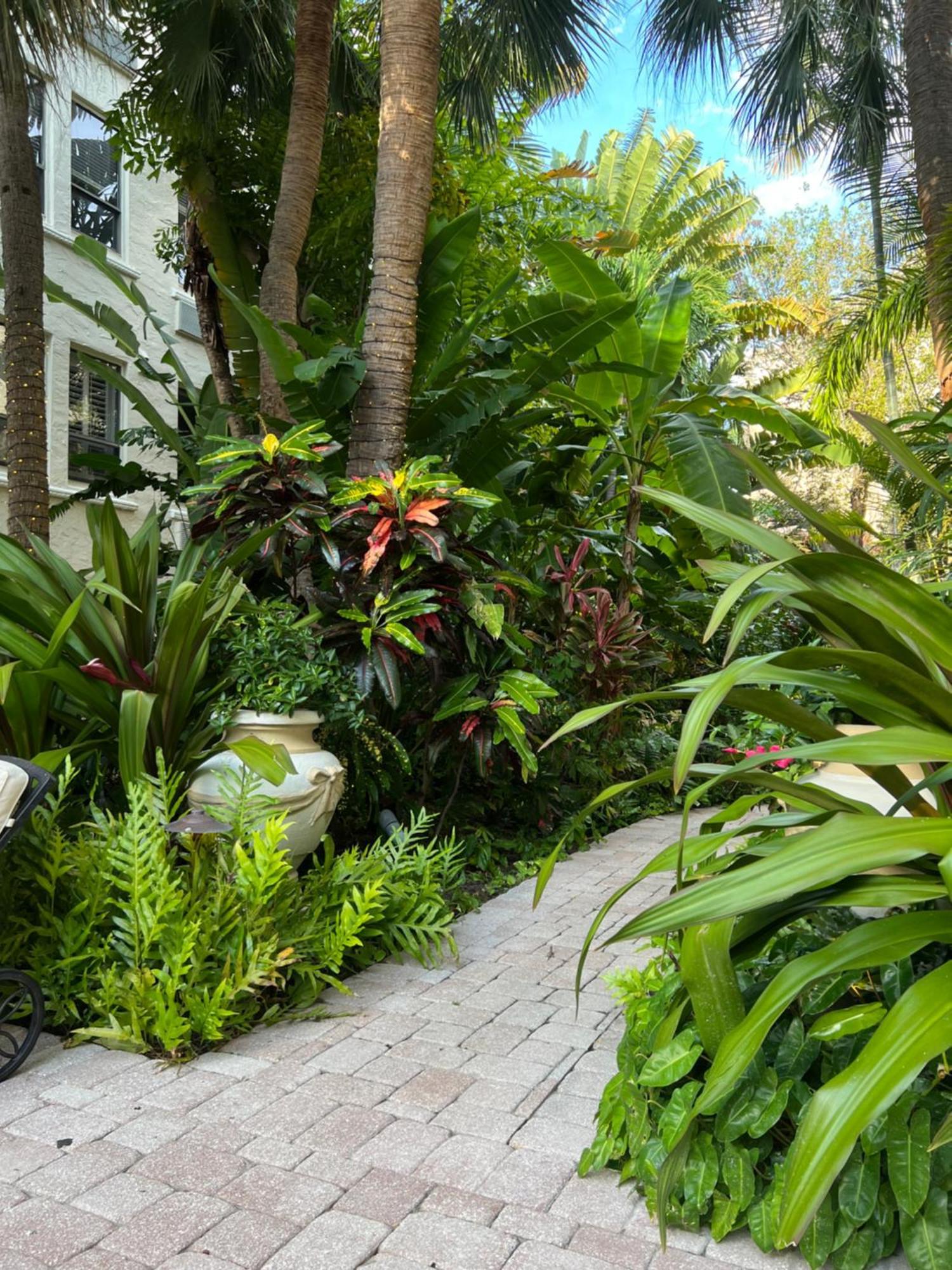 Orchid Suites - Historic Palm Beach Hotel Condominium Εξωτερικό φωτογραφία