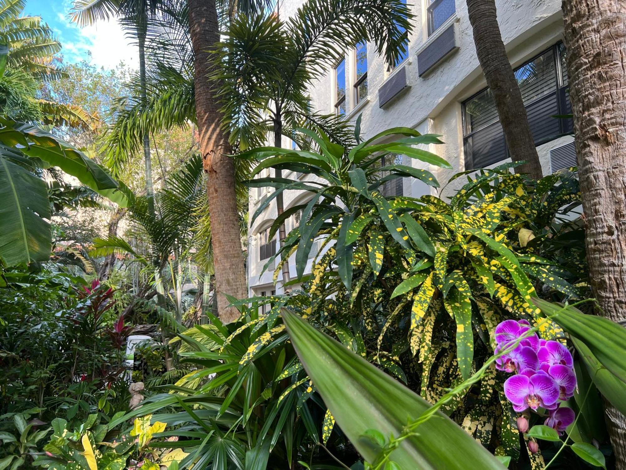 Orchid Suites - Historic Palm Beach Hotel Condominium Εξωτερικό φωτογραφία